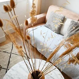 Appartement Chez Zize T2 Unique- Roucas-blanc, Marseille